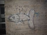Berlin Street Art : berlin_street_art__DSC00524 fish