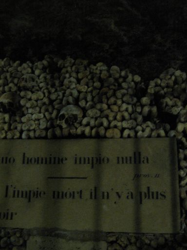 Les Catacombes de Paris : paris_les_catacombes_IMG_458-5808 : Rotated 90 degrees CCW.