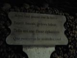 Les Catacombes de Paris : paris_catacombes_IMG_457-5793 