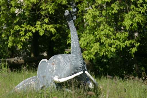 Objektbegehung: Vergn&uuml;gungspark Pl&auml;nterwald -Spreepark Berlin : IMG_0092_eos : von wegen es gibt keine blauen Elefanten