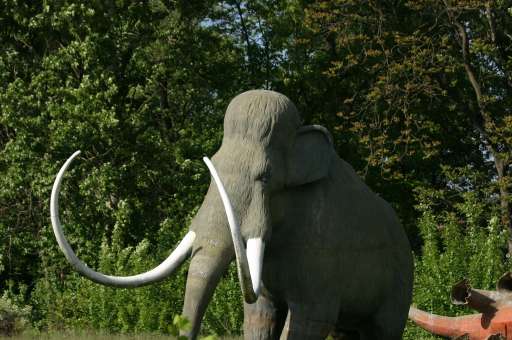 Objektbegehung: Vergn&uuml;gungspark Pl&auml;nterwald -Spreepark Berlin : IMG_0094_eos : da stehen 1000 Steaks auf einmal
