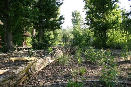 Objektbegehung: Vergn&uuml;gungspark Pl&auml;nterwald -Spreepark Berlin : IMG_0171_eos : 