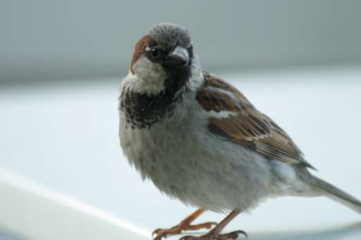 Objektbegehung: Vergn&uuml;gungspark Pl&auml;nterwald -Spreepark Berlin : IMG_0184_eos : fotoerfahren