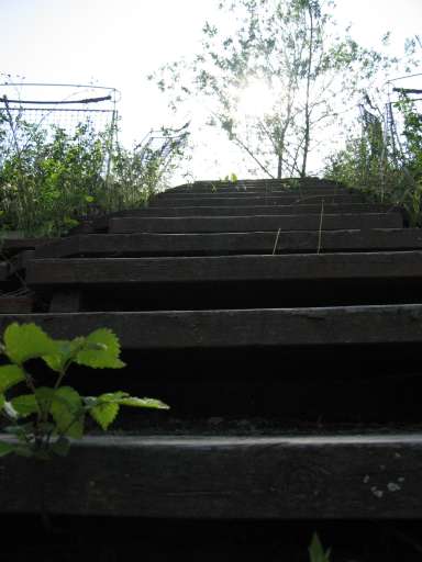 Objektbegehung: Vergn&uuml;gungspark Pl&auml;nterwald -Spreepark Berlin : ixus_IMG_0021 : 