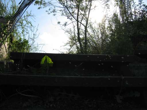 Objektbegehung: Vergn&uuml;gungspark Pl&auml;nterwald -Spreepark Berlin : ixus_IMG_0068 : 