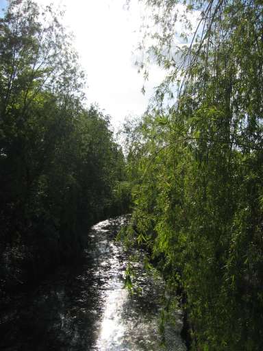 Objektbegehung: Vergn&uuml;gungspark Pl&auml;nterwald -Spreepark Berlin : ixus_IMG_0073 : 