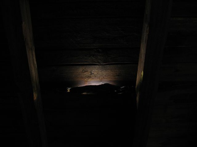 Jeremy Clarke - Computerorchester - Schlo&szlig; Lanke, August 2005 : schloss__lanke_IMG_455-5549 : dunkelheit