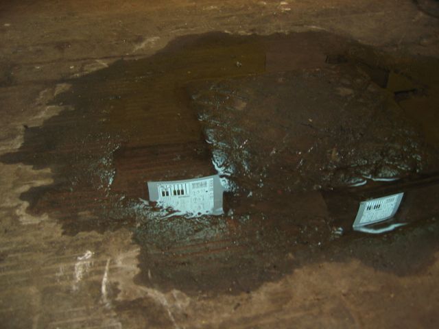 Jeremy Clarke - Computerorchester - Schlo&szlig; Lanke, August 2005 : schloss__lanke_IMG_455-5564 : feuchte Dualit&auml;t