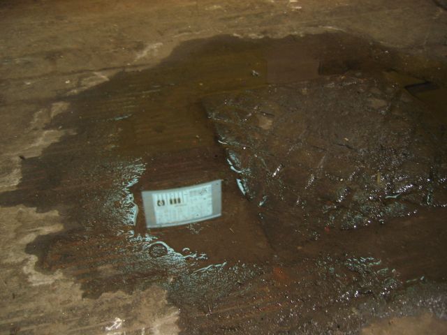 Jeremy Clarke - Computerorchester - Schlo&szlig; Lanke, August 2005 : schloss__lanke_IMG_455-5565 : H2O