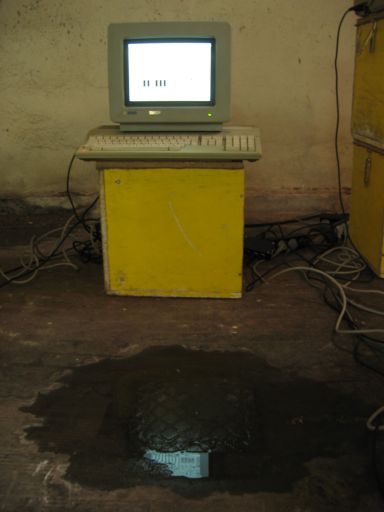 Jeremy Clarke - Computerorchester - Schlo&szlig; Lanke, August 2005 : schloss__lanke_IMG_455-5569 : 