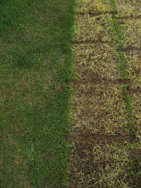 What the Hack, Netherlands, 2005  : wh4t_the_h4ck_IMG_454-5427 : before-after