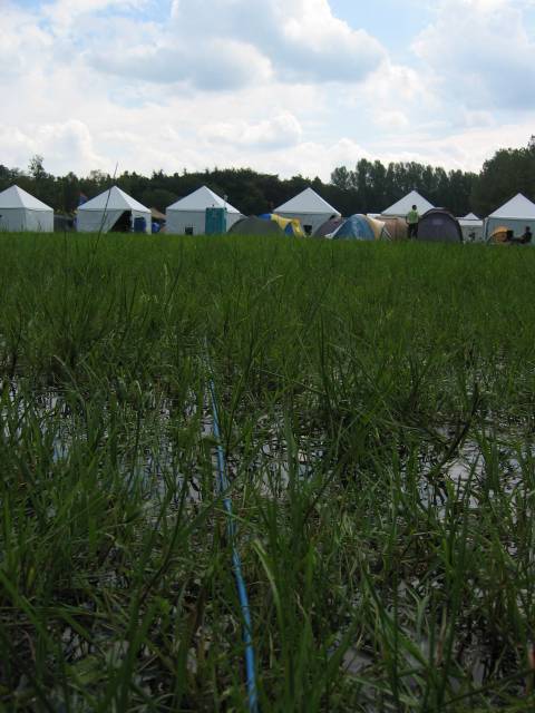 What the Hack, Netherlands, 2005  : what_the__hack_2005_IMG_452-5246 : trans-ocean network connection