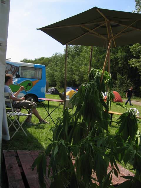 What the Hack, Netherlands, 2005  : what_the_hack_IMG_450-5030 : slackers area